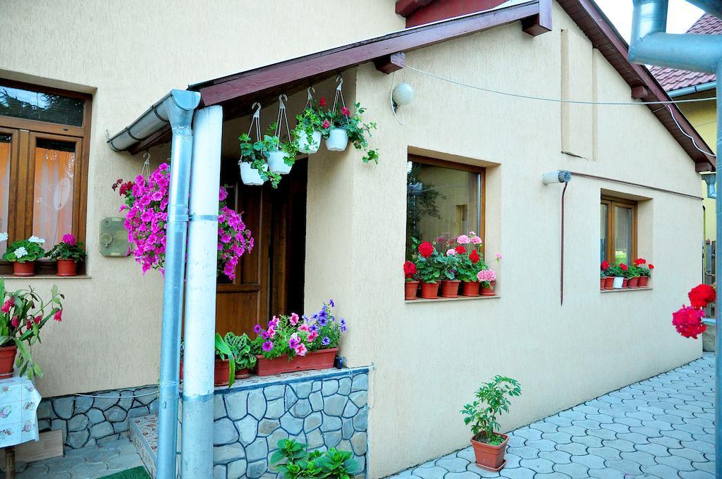 Casa Maria Hotel Gura Humorului Buitenkant foto