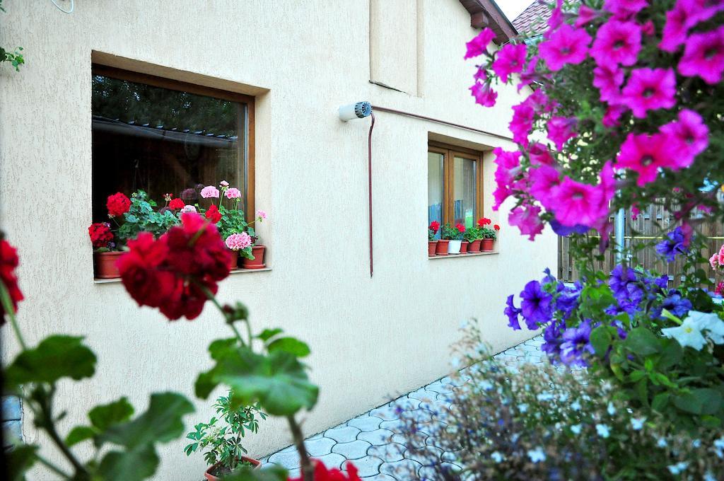 Casa Maria Hotel Gura Humorului Buitenkant foto